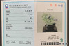 派瑞翡翠 翡翠摆件 糯种 绿色 紫色 商品缩略图4
