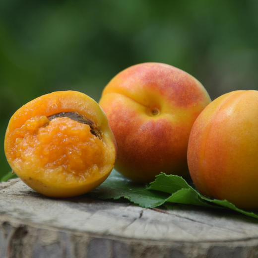 杏中珍品新疆金杏果2斤盒3斤筐