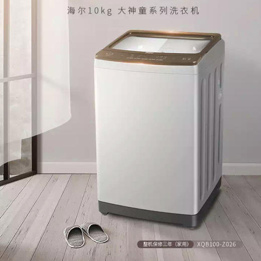 海尔（Haier）洗衣机XQB100-Z026 商品图0