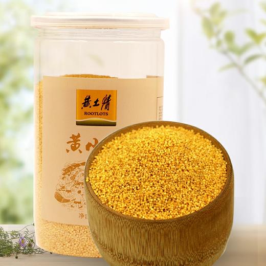 黄土情 桶装黄小米500g 商品图2