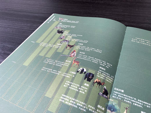 【赠AR地理探索软件+3张地图】藏在地图里的国·家地理·中国（全4册）7-18岁、成人均可适读 商品图7