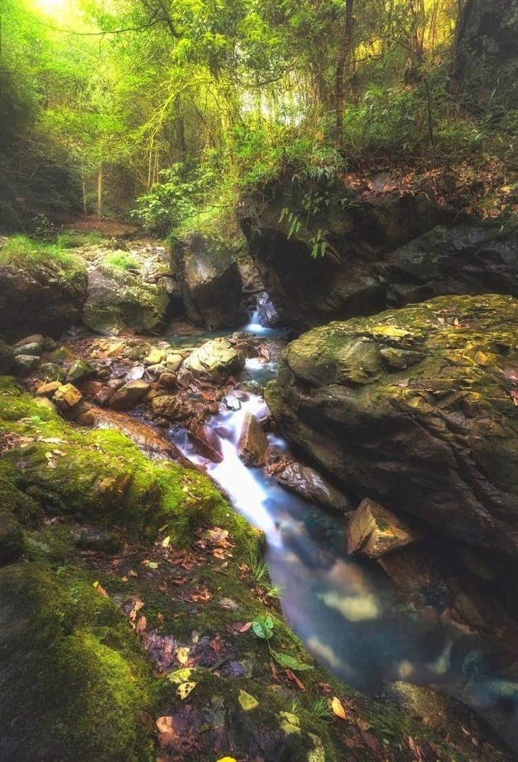 摄图网_500655772_1 副本.jpg