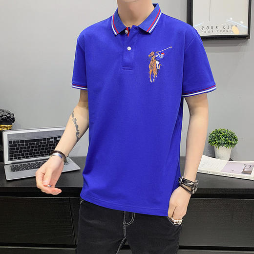 【服饰鞋包】新款男式POLO衫商务休闲短袖T恤舒适透气上衣 商品图4