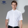 GOOD LUCK/德鲨夏季新款短袖棉质衬商务弹力短袖衬衫LY11429 商品缩略图0