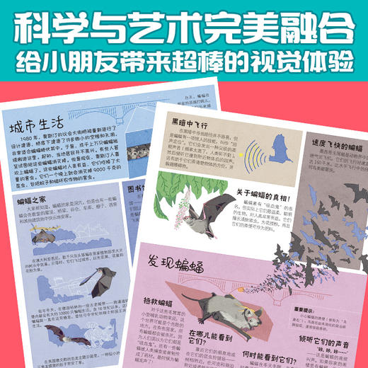 【紧急，疫情封路发货时间延后，介意慎拍】城市里的野生动物朋友 商品图3