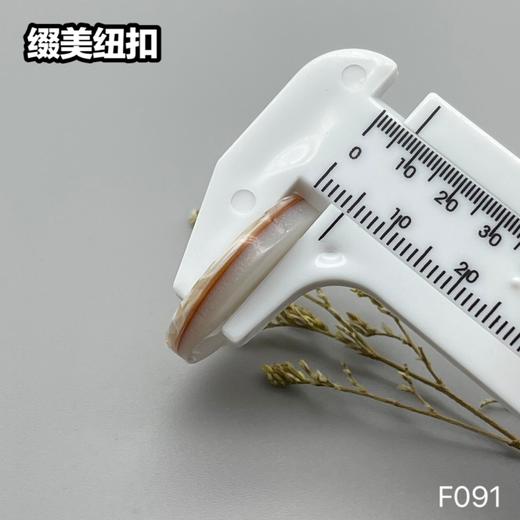 F091(整包购买) 商品图5