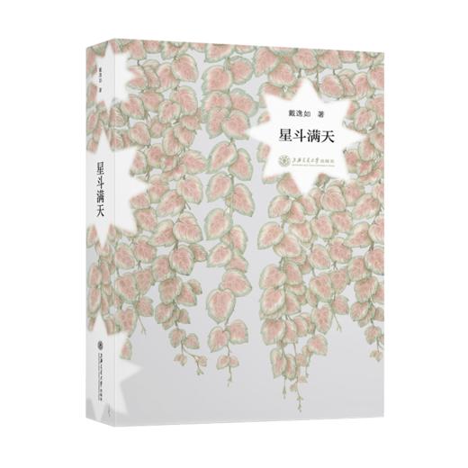 星斗满天9787313237231戴逸如 商品图4