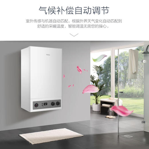 海尔（Haier）壁挂炉L1PB20-HT3(T) 商品图5