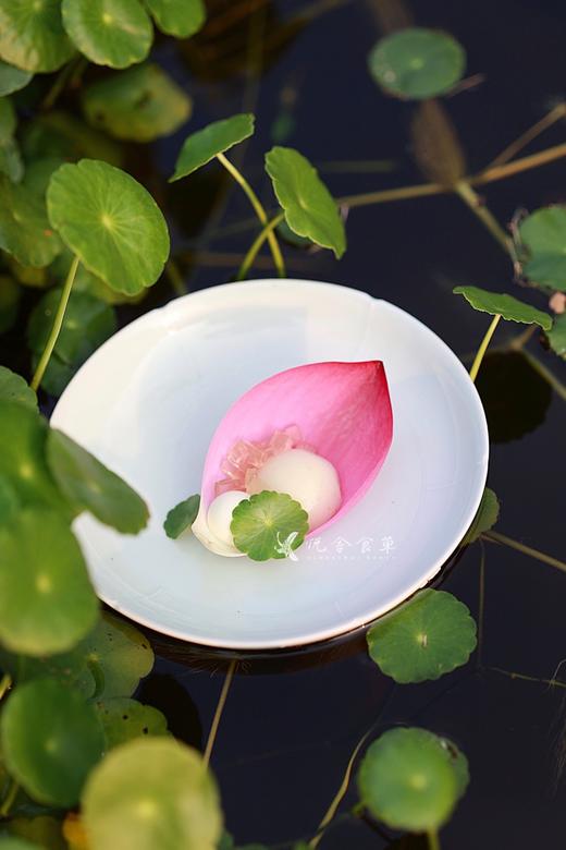 2021夏季食单兑换券 商品图0