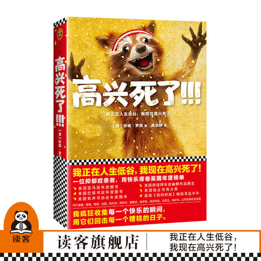 《高兴死了!!!》珍妮·罗森著 我正在人生低谷 我现在高兴死了 席卷美国年度榜 商品图1