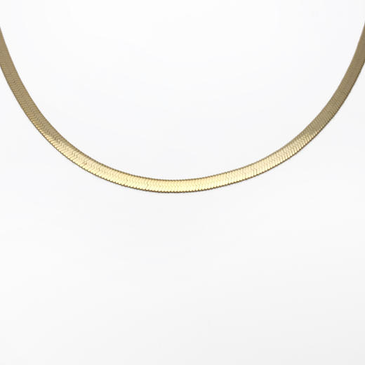 北京仓｜Fallon-HAILEY同款-金色 鱼骨链 锁骨链［美国设计师］ 商品图2