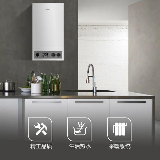 海尔（Haier）壁挂炉L1PB20-HT3(T) 商品图1