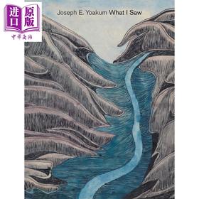 【中商原版】Joseph E Yoakum 进口艺术 约瑟夫约阿库姆 我所看到的 Yale