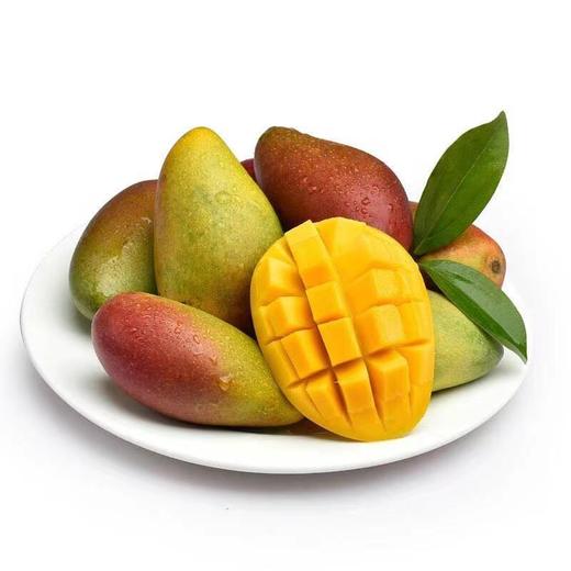 【拼团抢】22.9元5斤广西百色大青芒/台农芒/贵妃芒（原价26.9元） 商品图1