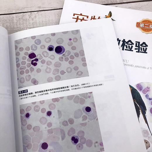 宠物临床显微检验及图谱（第二版） 商品图7