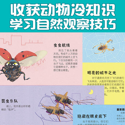 【紧急，疫情封路发货时间延后，介意慎拍】城市里的野生动物朋友 商品图4