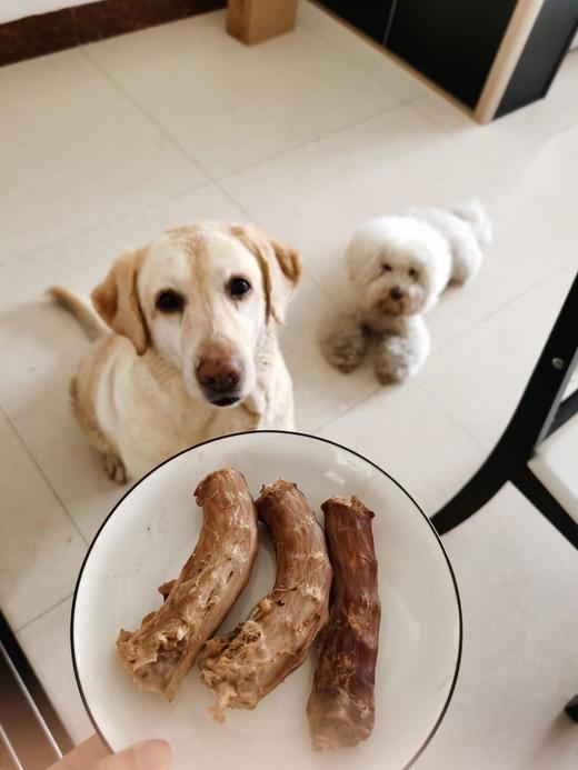 风干香酥脆鸭脖磨牙奖励零食！全场满80元包邮 商品图4