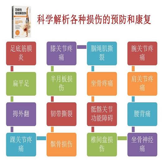 功能性瑜伽解剖学 大卫 凯尔 著 生活 商品图3