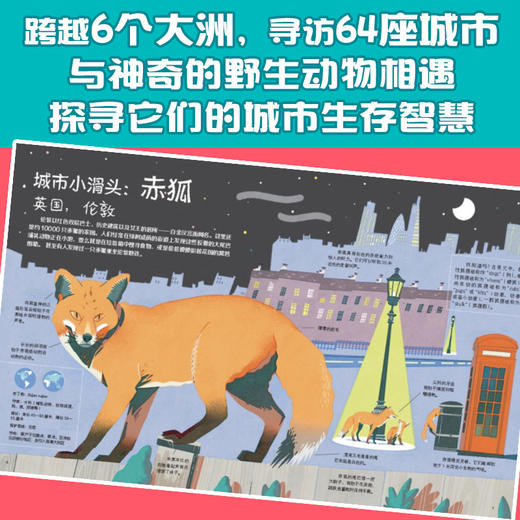 【紧急，疫情封路发货时间延后，介意慎拍】城市里的野生动物朋友 商品图2