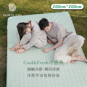 预售 | Downland 冷感床垫软垫200*200cm 冰丝凉席薄款可水洗垫被单人褥子家用垫褥[福利品]