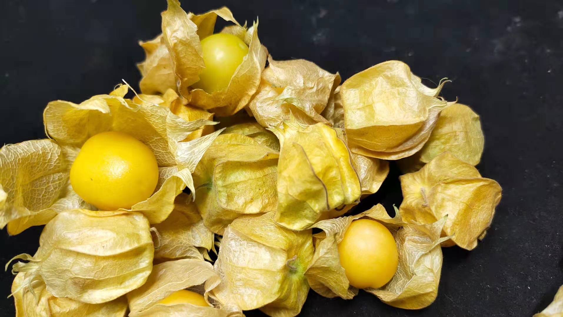 姑娘果 · 1斤装(甜)