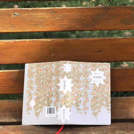 星斗满天9787313237231戴逸如 商品图2