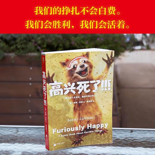 《高兴死了!!!》珍妮·罗森著 我正在人生低谷 我现在高兴死了 席卷美国年度榜 商品图2