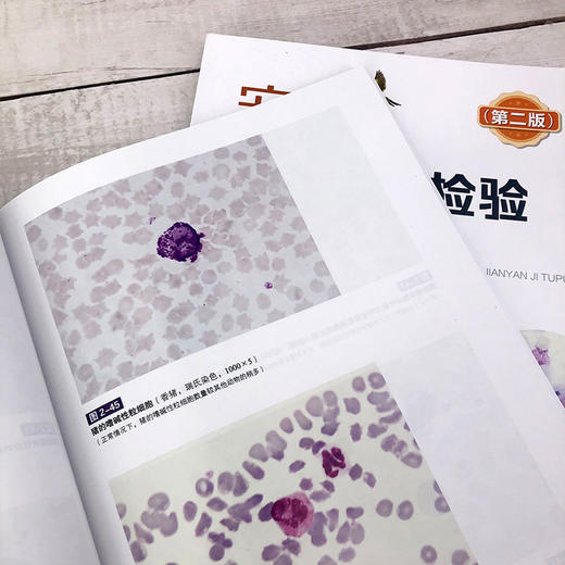宠物临床显微检验及图谱（第二版） 商品图8