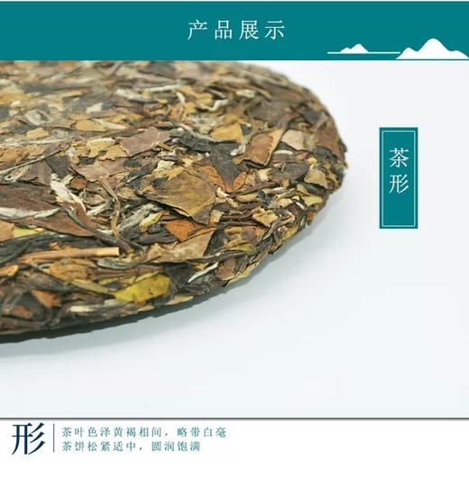 白茶 | 恒春源 荒叶叁年 17年老白茶 寿眉饼350g 商品图2