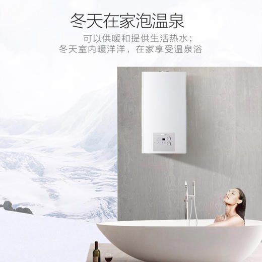 海尔（Haier）壁挂炉L1PB20-HT1(T) 商品图1