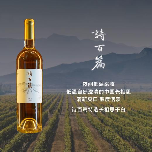迦南酒业诗百篇特选长相思Canaan ShiBaiPian Mastery Sauvignon Blanc 2018 商品图0