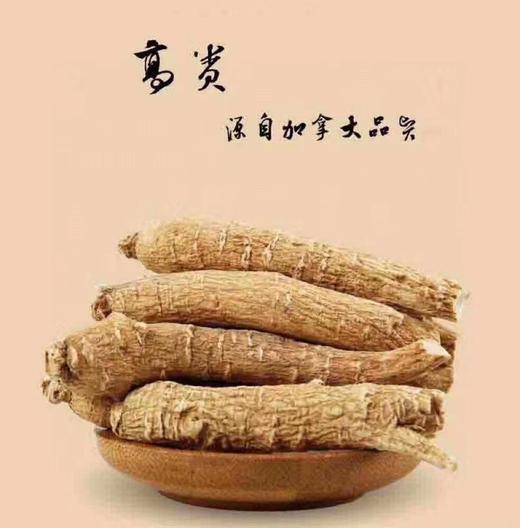 加拿大野生原枝西洋参 227g/袋（跨境） 商品图3