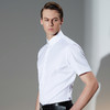 GOOD LUCK/德鲨夏季新款短袖棉质衬商务弹力短袖衬衫LY11429 商品缩略图1