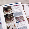 猫口腔和牙科病理图谱 商品缩略图5