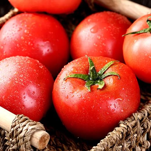 精品菜：西红柿400g 商品图1