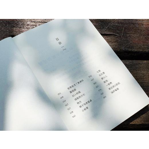 青鸟原创故事坊 走出黑森林的男孩 8-11岁儿童文学 商品图3