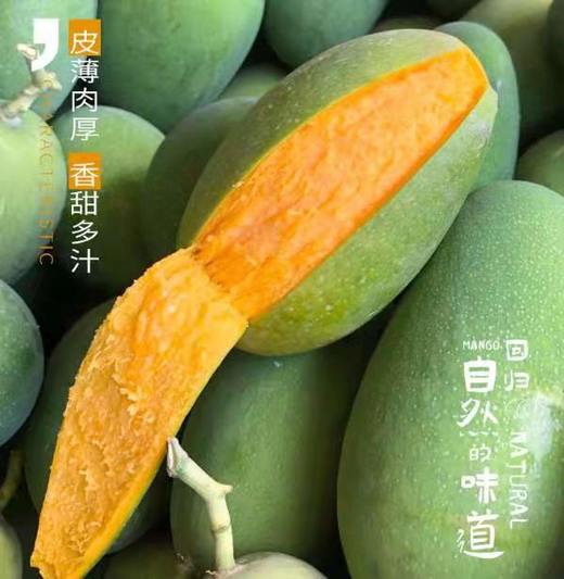 椰奶蜜香芒果 商品图2
