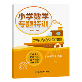 小学数学专题特训20以内的进位加法（一年级上适用）