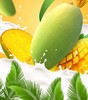 椰奶蜜香芒果 商品缩略图3