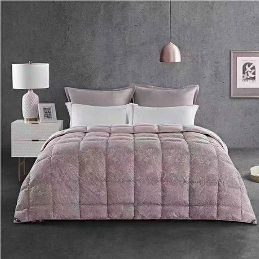 【6F】宜庭｜安妮娅可水洗鹅绒春秋被 商品图2