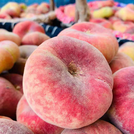 新疆和静蟠桃 商品图2