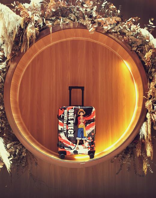 正版授权  航海王四色印花拉杆箱海贼王路飞 索隆航海王A-9827L 商品图3