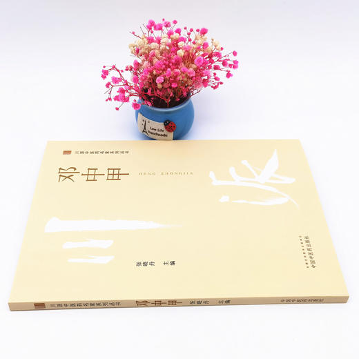 正版 现货【出版社直销】邓中甲 川派中医药名家系列丛书 张晓丹 主编 中国中医药出版社 中医临床 经典案例 书籍 商品图2