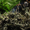 生态艾草干 | 绿家自产*Eco- Wormwood | In-House Production 商品缩略图2