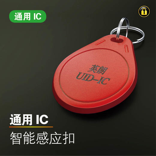 〖红8007〗英朗1代IC 商品图0