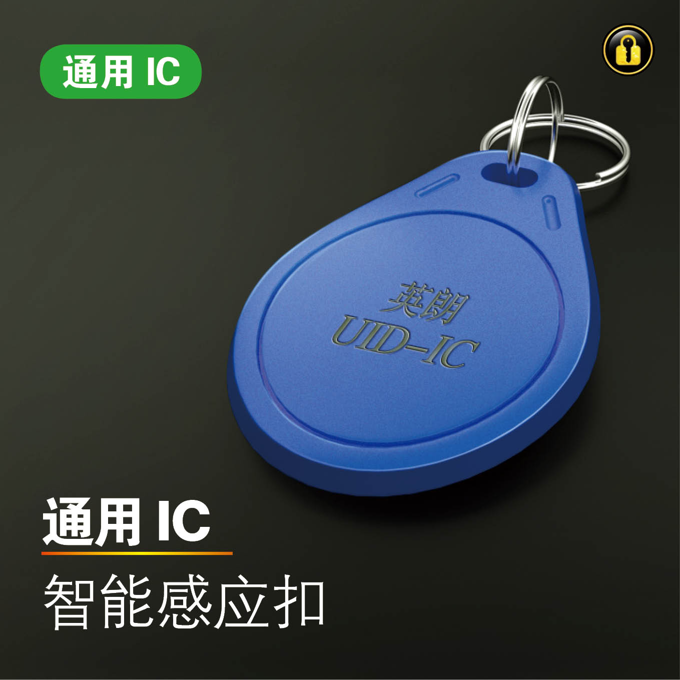 〖8007〗英朗1代IC