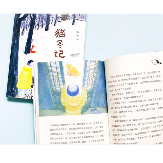 2021年暑假读一本好书 假期读好书   猫冬记 商品图1