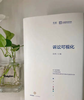 诉讼可视化，实习律师必备书籍