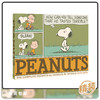 英文原版 Complete Peanuts Box Set 1971-1974 精装  漫画合集 商品缩略图2