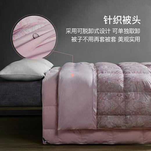 【6F】宜庭｜安妮娅可水洗鹅绒春秋被 商品图4